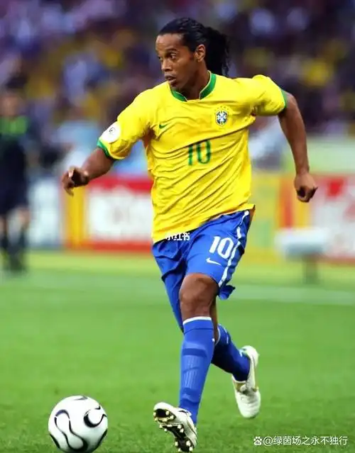 策均依规行 策均依规行