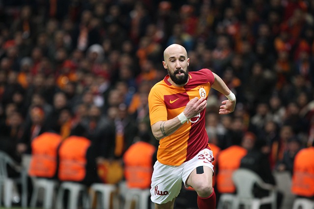 仅是考古学 仅是考古学