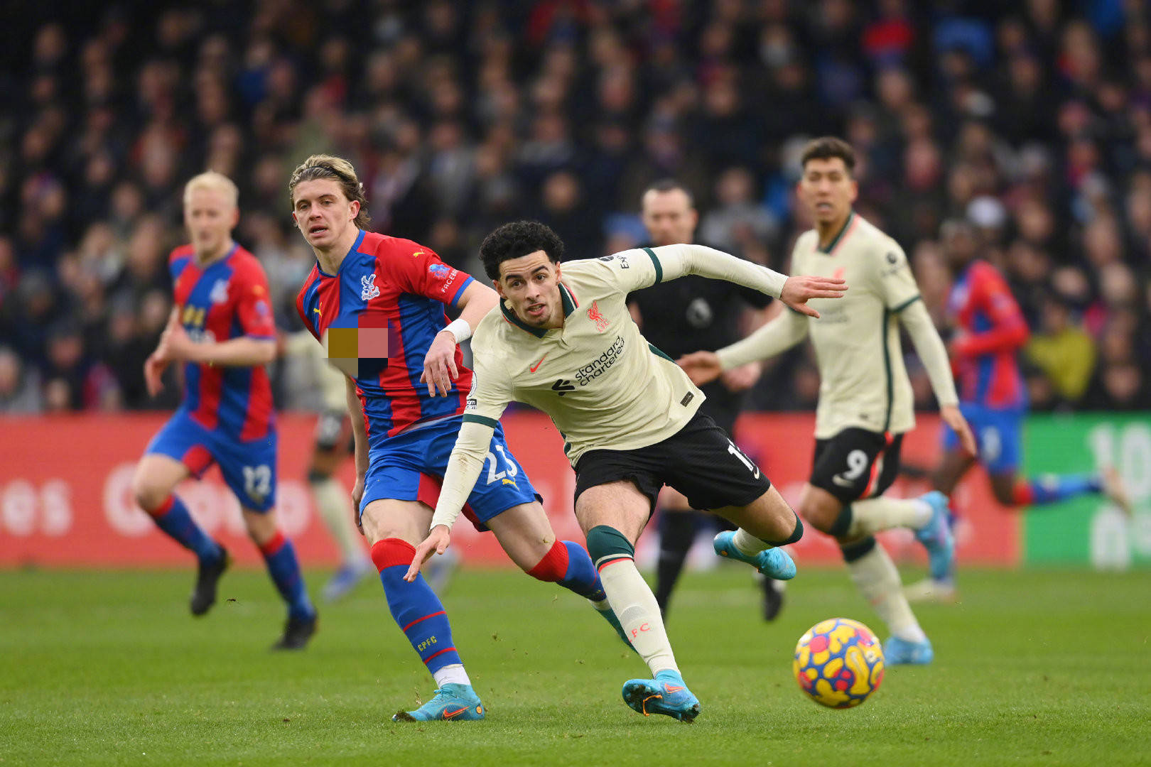 疫苗接种规 疫苗接种规